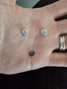 Classic Round Magnetic VVS1 Mossanite Halo Stud Earrings - Silver Tone
